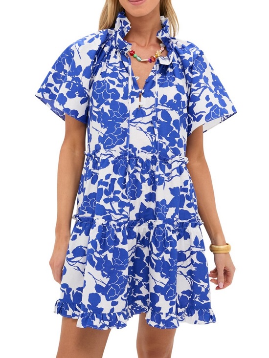 Tuckernuck Dresses & Skirts - Hyacinth House Thea Blue White Floral Ruffle Short Dress Tuckernuck New NWT